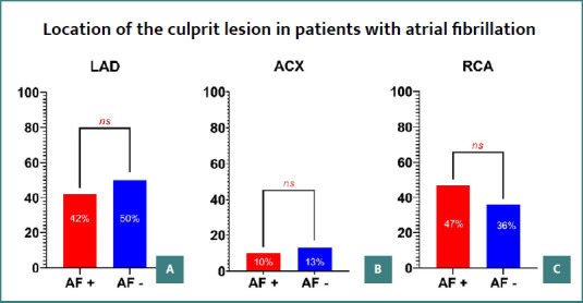 Impact of gender on clinical characteristics in patients with atrial fibrillation and STEMI.