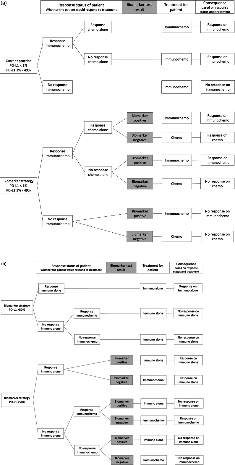 Predicting response to immunotherapy in lung cancer: an early HTA of predictive tests.