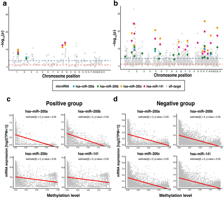 Investigating miRNA-driven DNA methylation: Statistical evidence of gene-specific modulation.