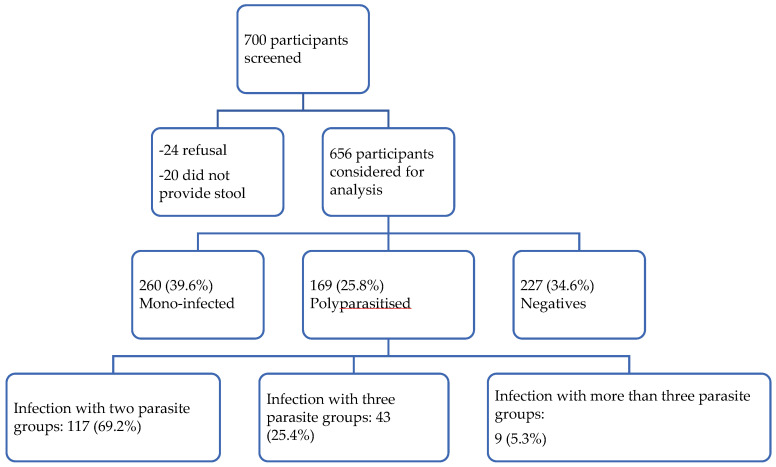 Polyparasitic Infections: Associated Factors and Effect on the Haemoglobin Level of Children Living in Lambaréné Remote and Surrounding Rural Areas from Gabon-A Cross-Sectional Study.