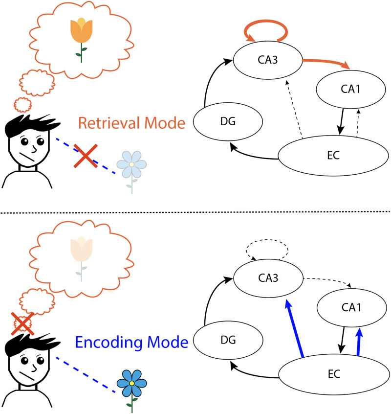 Successful Prediction Is Associated With Enhanced Encoding.