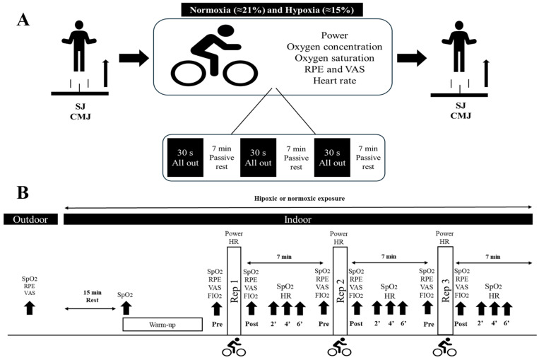 Acute Effect of Normobaric Hypoxia on Performance in Repeated Wingate Tests with Longer Recovery Periods and Neuromuscular Fatigue in Triathletes: Sex Differences.