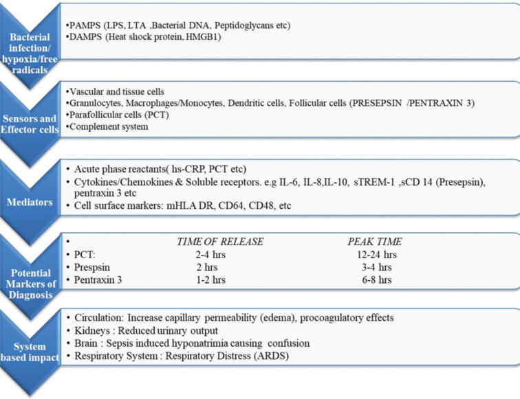 Recent Scenario of Diagnostic and Prognostic Biomarkers of Sepsis in Clinical Practice and the Role of Multi-marker Approach: An Update.