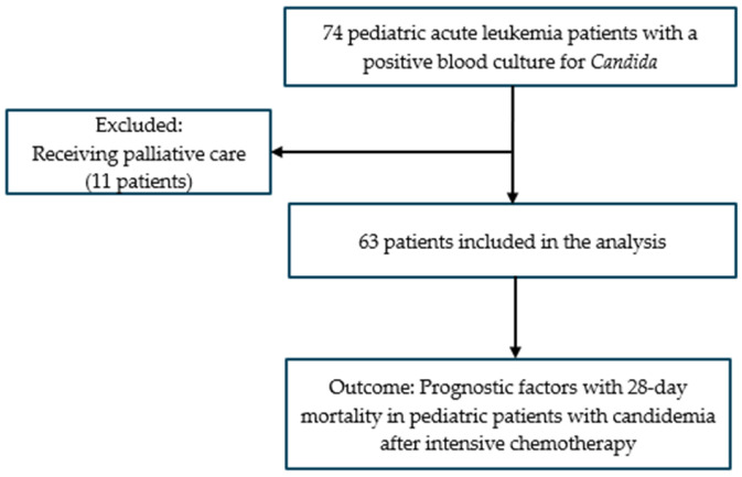 Prognostic Factors for 28-Day Mortality in Pediatric Patients with Acute Leukemia and Candidemia Following Intensive Chemotherapy: A Retrospective Study.