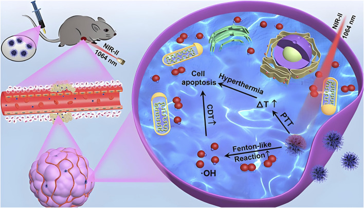 Nickel nanoparticles: a novel platform for cancer-targeted delivery and multimodal therapy.