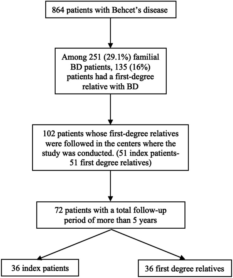 Clinical Features and Phenotypic Similarities of Patients with Familial Behçet's Disease.