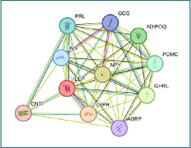 Psoriasis, stem cells, and obesity: metabolic exploration for therapeutics.