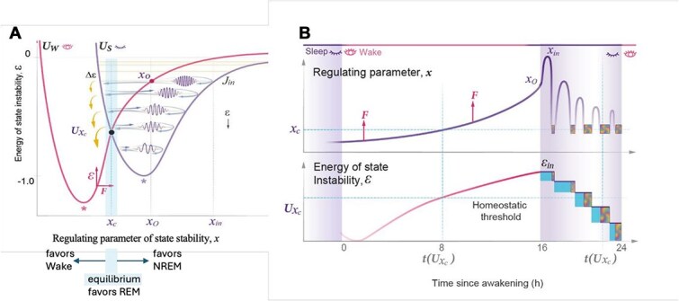 Homeostatic forces underlying the daily pattern of sleep propensity.