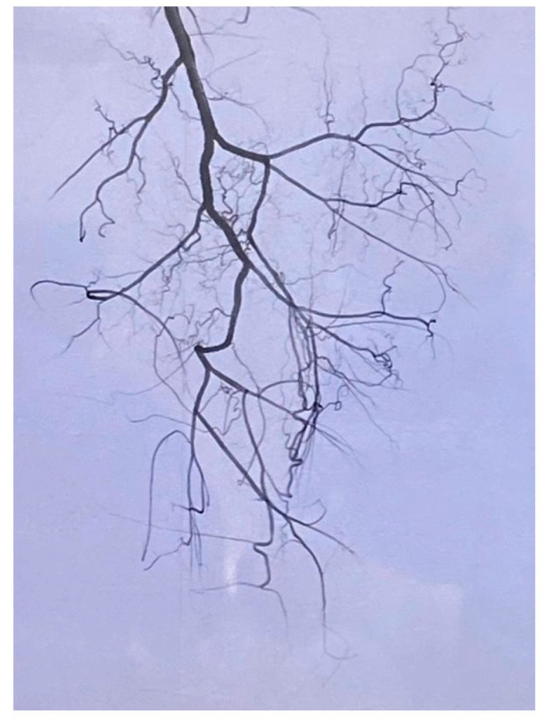 Abstract Image
