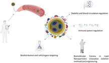 Therapeutic Implications of Biomolecular Corona on Lipid Nanoparticle-Based Gene Delivery Systems.