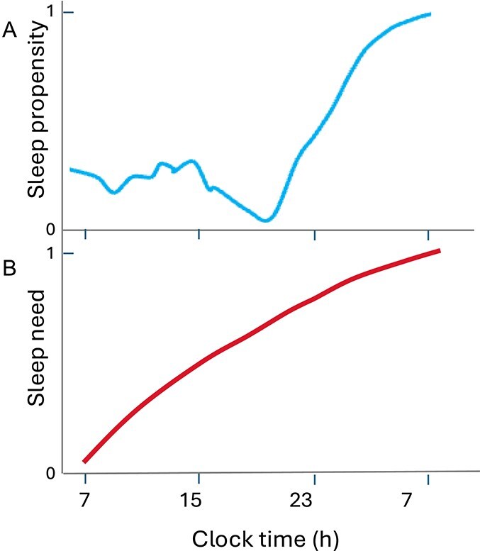 Homeostatic forces underlying the daily pattern of sleep propensity.