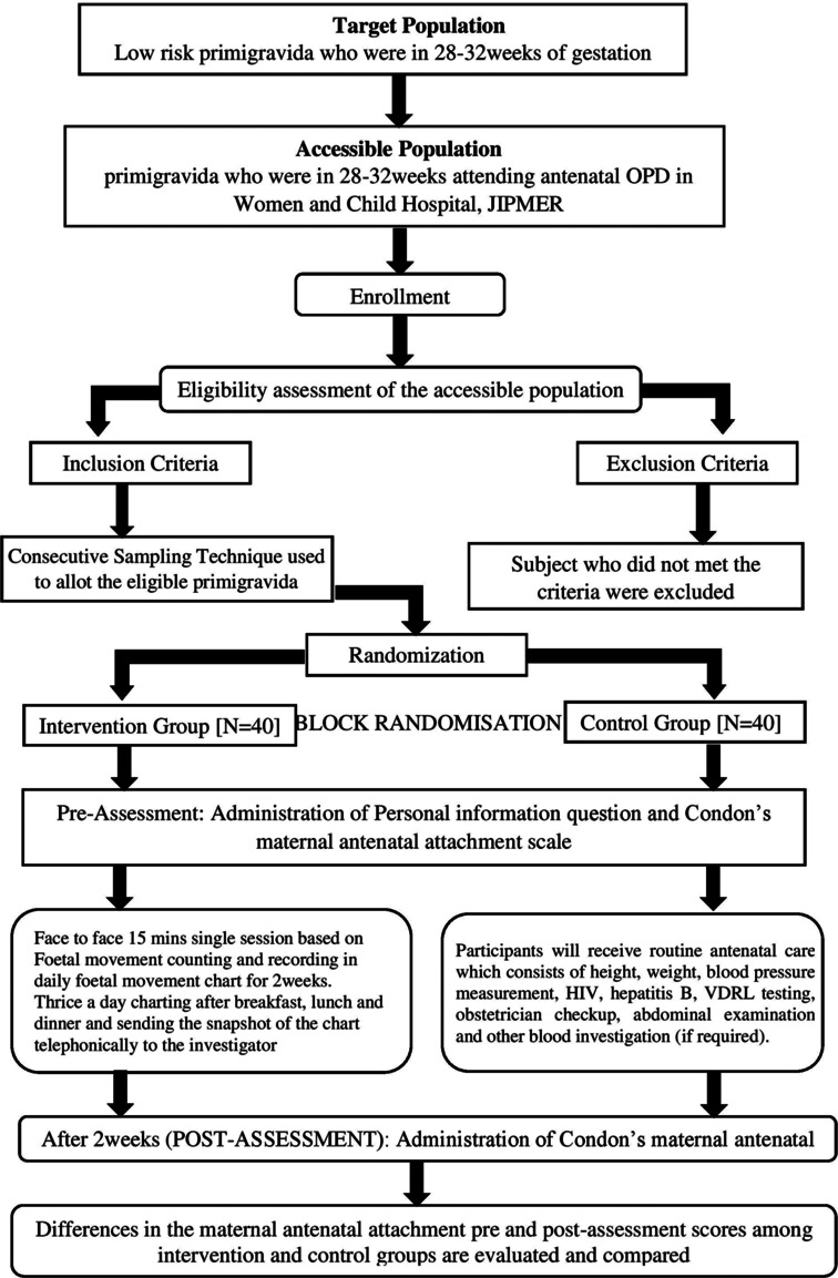 Effect of performing daily fetal movement count on maternal-fetal attachment level among low risk primigravida - A randomised controlled trial.