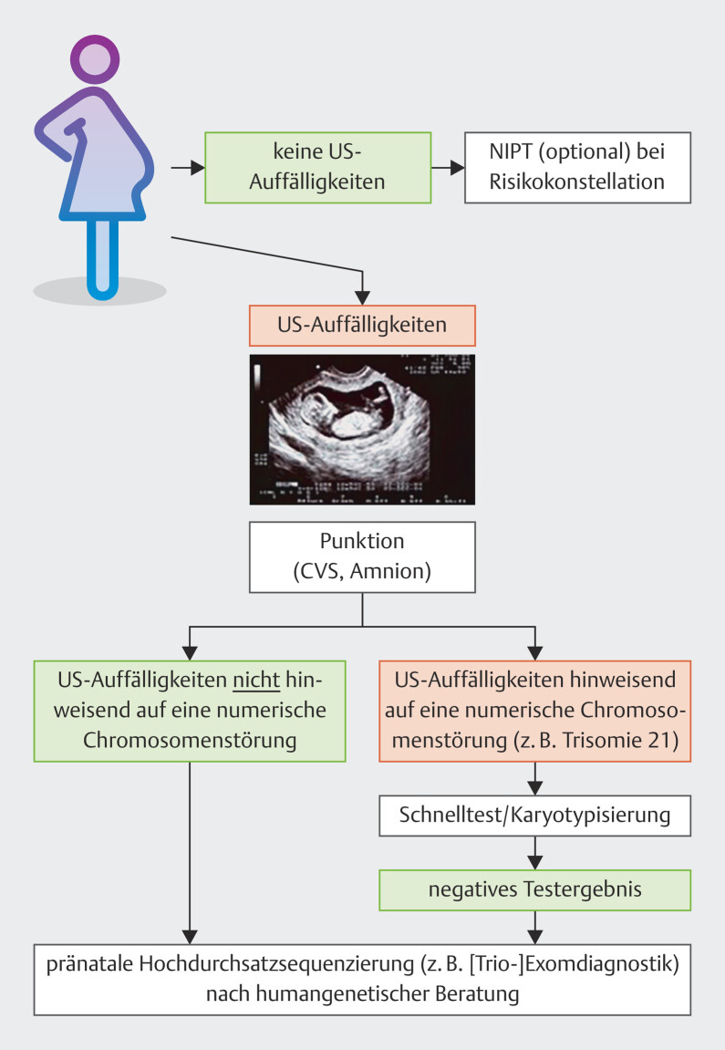 Opportunities and Limitations of Modern High Throughput Sequencing in Invasive Prenatal Diagnostics.