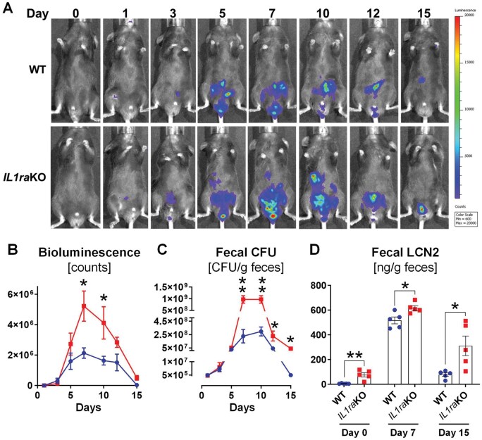 Deficiency of interleukin-1 receptor antagonist aggravates Citrobacter rodentium infection in mice.