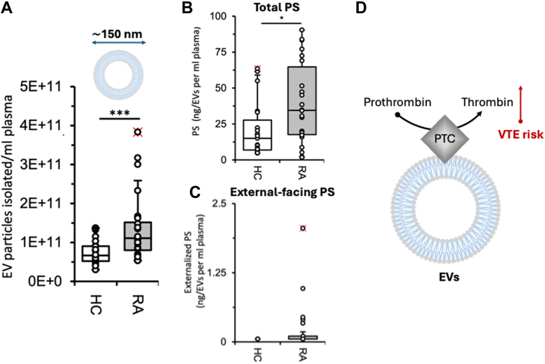 The risk of going outside: Amino phospholipids in rheumatoid arthritis.