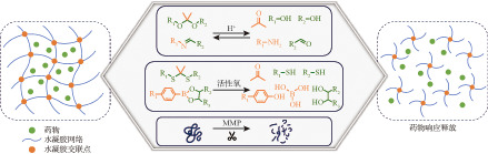 [Advances in hydrogel drug delivery systems for myocardial infarction treatment].