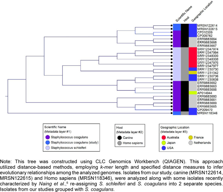 Complicated breast cellulitis status post-bilateral mastectomies caused by infection with Staphylococcus coagulans.