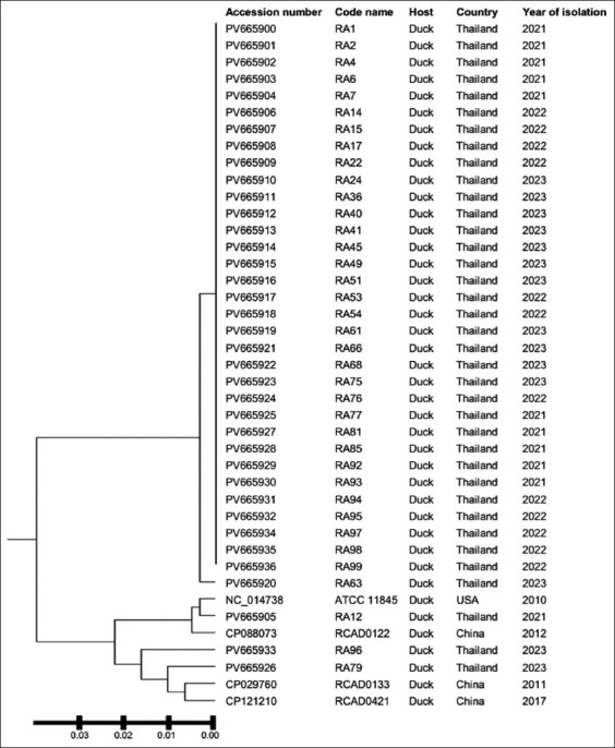 Quinolone resistance in <i>Riemerella anatipestifer</i> from Thai ducks: Mutation analysis of <i>gyrA, parC</i>, and <i>plasmid-mediated quinolone resistance</i> genes.