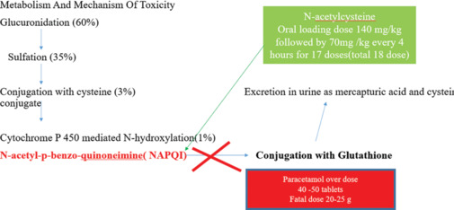 Critical Role of Antidotes in Managing Toxicological Emergencies: Historical Evolution, Categorization, and the Importance of Antidote Banking - A Review of Literature.