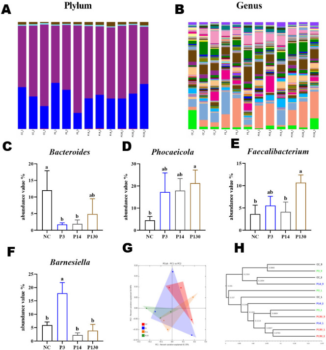 Effects of polyphosphates with different chain lengths on digestive organ weight, carcass quality, and immune response, and intestinal microflora in broilers.