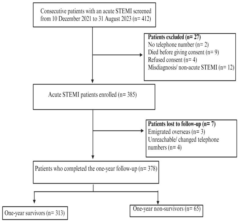 Thirty-Day and One-Year All-Cause Mortality of ST-Segment Elevation Myocardial Infarction in Johannesburg, South Africa: Insights from the STEMI HOC-1 Prospective Study.