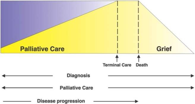 Position statement of the Brazilian Society of Nephrology on the refusal and discontinuation of dialysis.