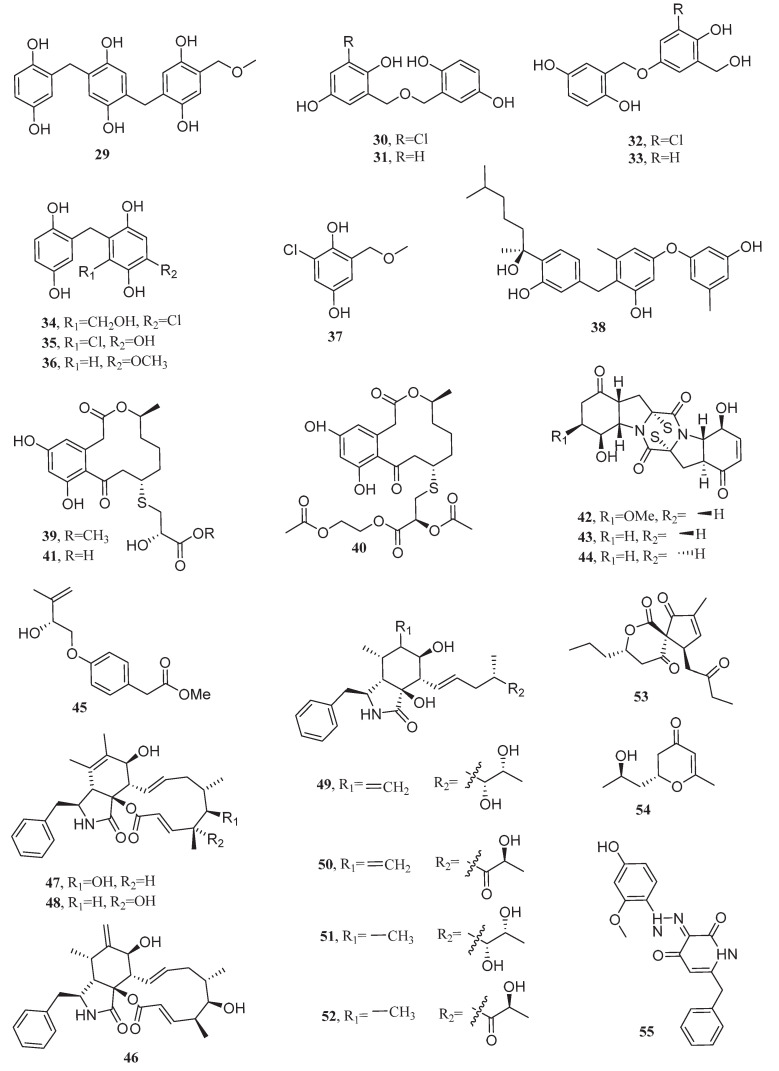 Salt-Adapted Microorganisms: A Promising Resource for Novel Anti-Cancer Drug Discovery.