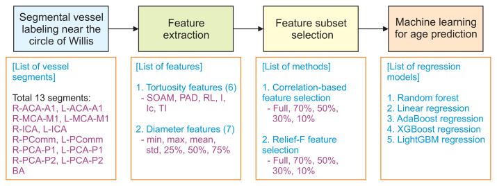 Machine Learning-Based Age Prediction with Feature Subset Selection from Magnetic Resonance Angiography Data.