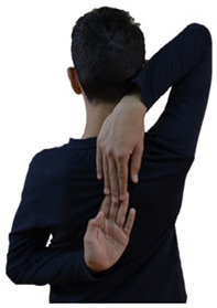 Intrasession and Intersession Reliability of Flexibility Tests During Developmental Years: The Effects of Sport, Age, and Sex.