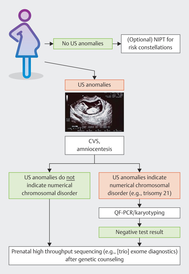 Opportunities and Limitations of Modern High Throughput Sequencing in Invasive Prenatal Diagnostics.