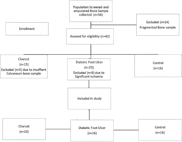Deciphering Bone Microarchitecture in Diabetic Charcot Neuroarthropathy of Foot: A Case Control Study.
