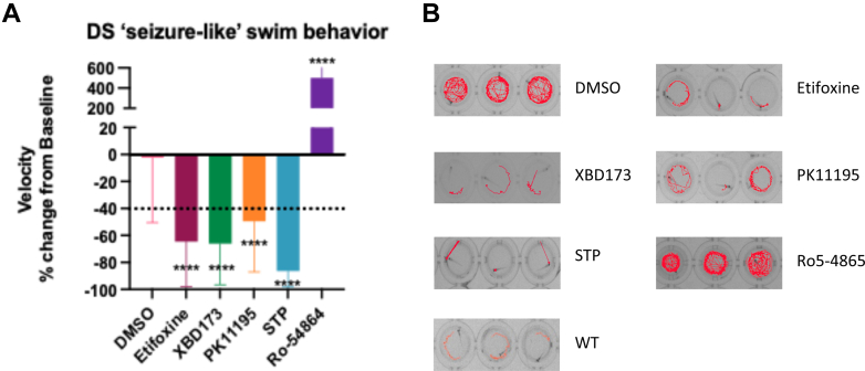 A multielectrode array reveals therapeutic potential of translocator protein ligands in a zebrafish model of Dravet syndrome.
