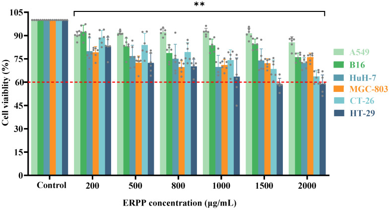 Antitumor Activity of <i>Ruditapes philippinarum</i> Polysaccharides Through Mitochondrial Apoptosis in Cellular and Zebrafish Models.