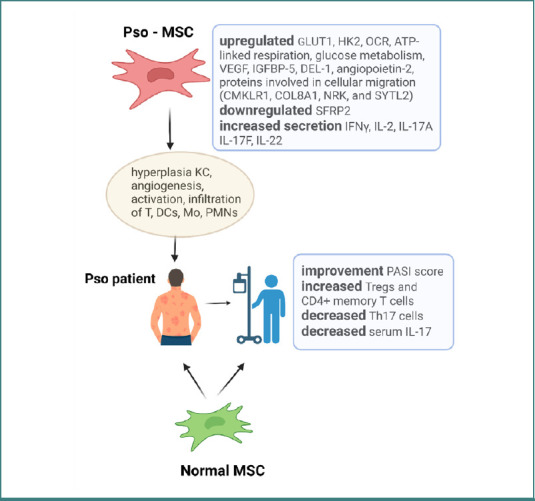 Psoriasis, stem cells, and obesity: metabolic exploration for therapeutics.