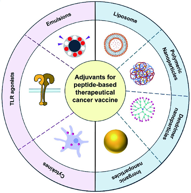 Advances in nanotechnology-enabled adjuvants for peptide-based cancer vaccines.