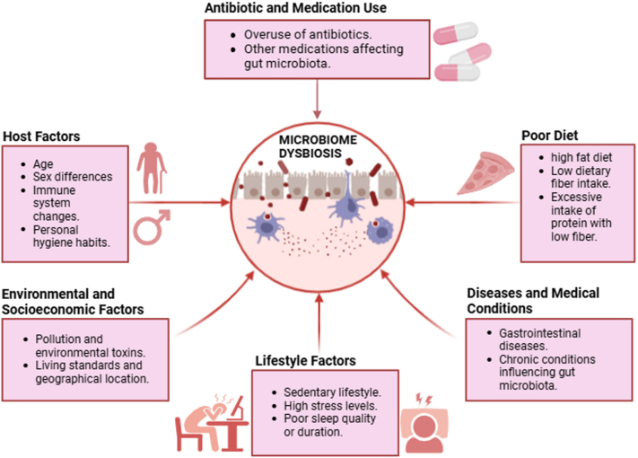 Role of gut microbiota in the pathogenesis of metabolic syndrome: an updated comprehensive review from mechanisms to clinical implications.
