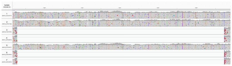Case Report: Genetic evolution of <i>Burkholderia pseudomallei</i> during treatment leading to antibiotic resistance and disease relapse.