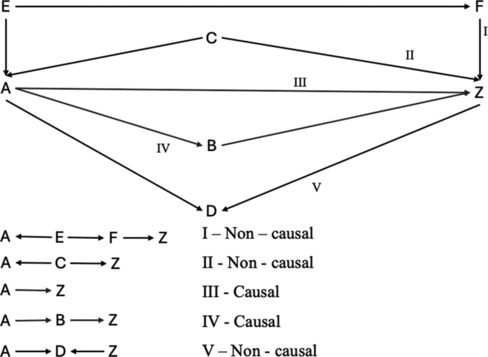 An Open Path to DAG: Navigating Causal Inference in Epidemiological Research.