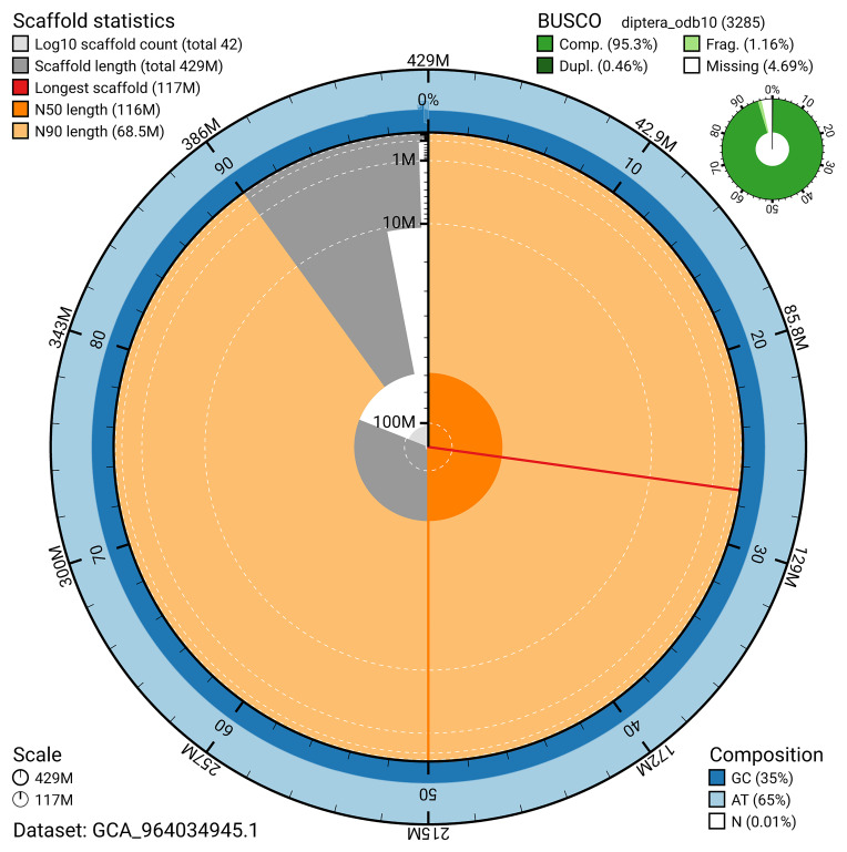 The genome sequence of the Little Snipefly, <i>Chrysopilus asiliformis</i> (Preyssler, 1791).