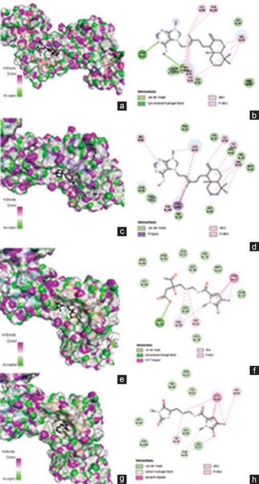 Molecular docking and in vitro anticancer evaluation of potential compounds derived from Indonesian sponge Agelas nakamurai.