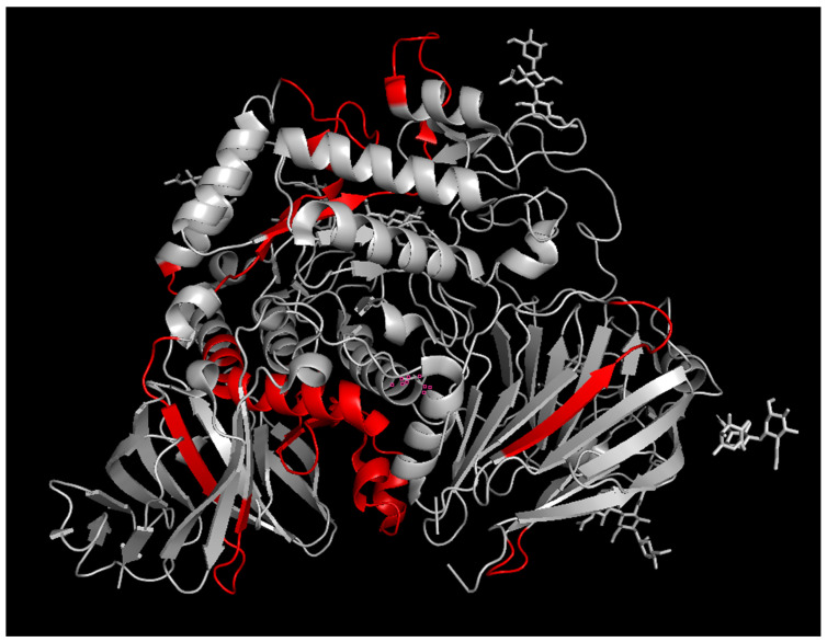 Determination of the Epitopes of Alpha-Glucosidase Anti-Drug Antibodies in Pompe Disease Patient Plasma Samples.