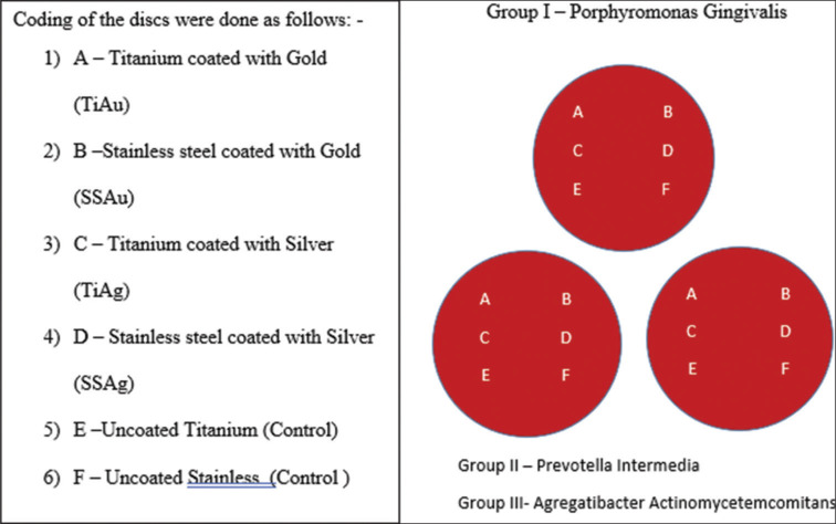 Comparative evaluation of antimicrobial efficacy at the implant-abutment interface using gold and silver ion coatings - An in vitro study.