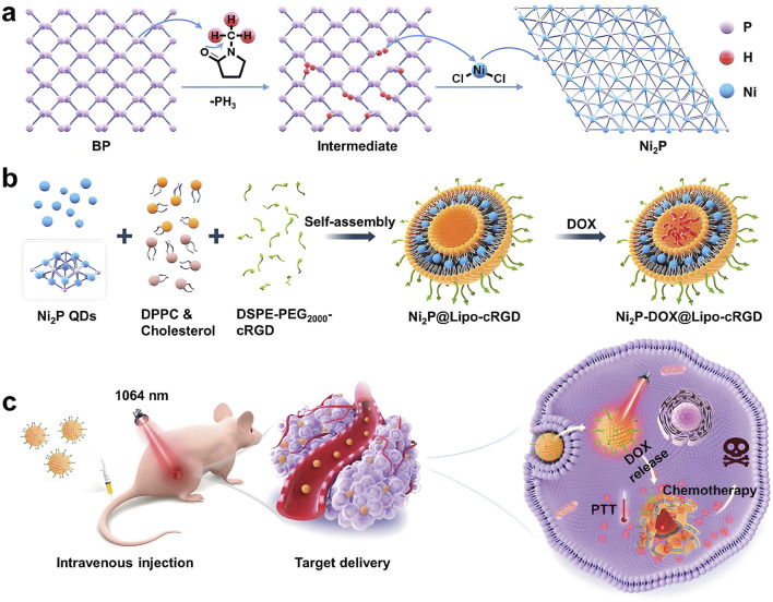 Nickel nanoparticles: a novel platform for cancer-targeted delivery and multimodal therapy.