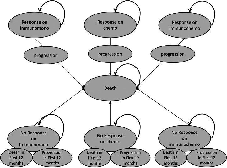 Predicting response to immunotherapy in lung cancer: an early HTA of predictive tests.