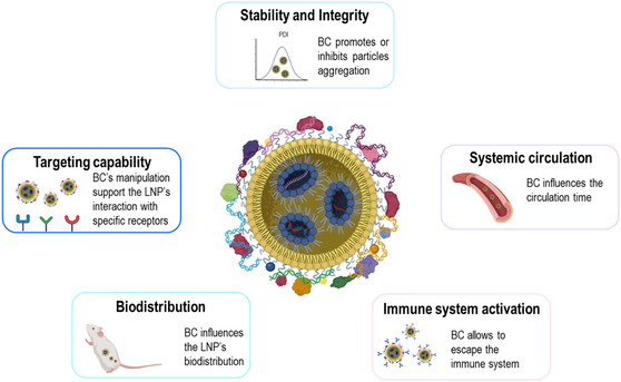 Therapeutic Implications of Biomolecular Corona on Lipid Nanoparticle-Based Gene Delivery Systems.