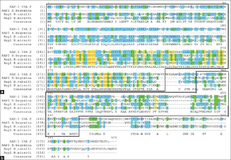 Development and validation of a recombinant Rap1-based lateral flow immunoassay for rapid serodiagnosis of bovine babesiosis in Kazakhstan.