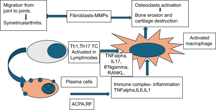 Pathogenesis and Current Treatment Strategies in Rheumatoid Arthritis: A Systematic Review Article.