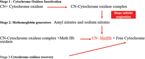 Critical Role of Antidotes in Managing Toxicological Emergencies: Historical Evolution, Categorization, and the Importance of Antidote Banking - A Review of Literature.