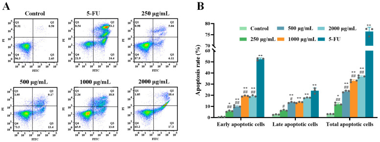 Antitumor Activity of <i>Ruditapes philippinarum</i> Polysaccharides Through Mitochondrial Apoptosis in Cellular and Zebrafish Models.