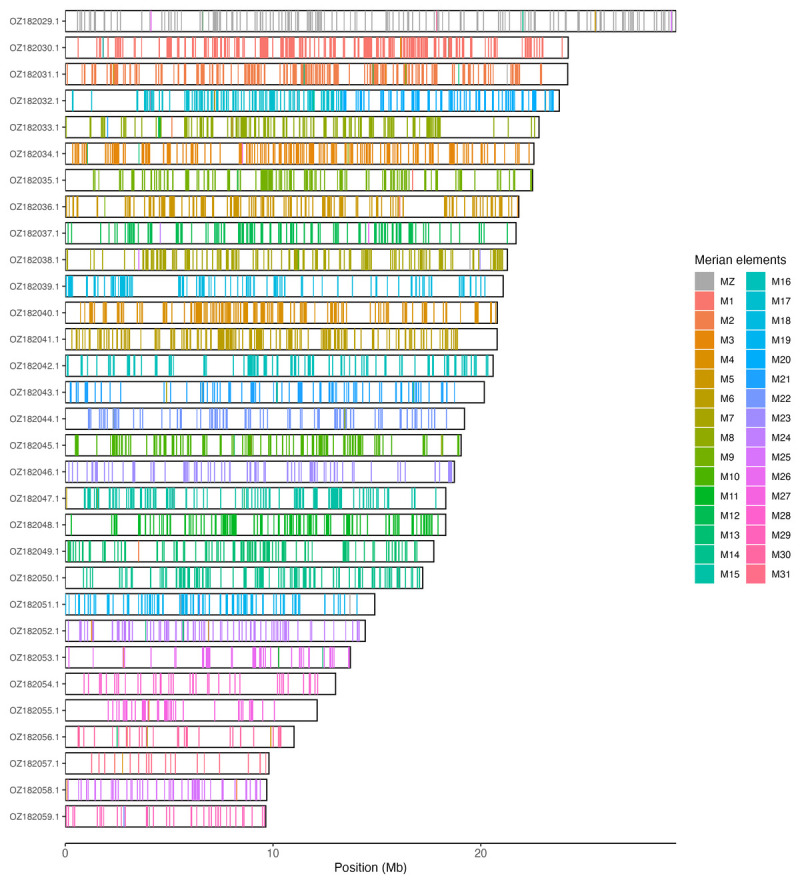 The genome sequence of <i>Glacies alpinata</i> (Scopoli, 1763) (Lepidoptera: Geometridae).